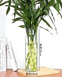 Ваза для цветов стекл.  мод.ZD-6050  (ВИ)